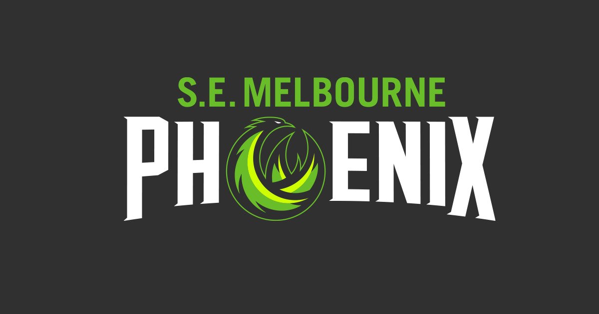 Our special edition Looney - South East Melbourne Phoenix