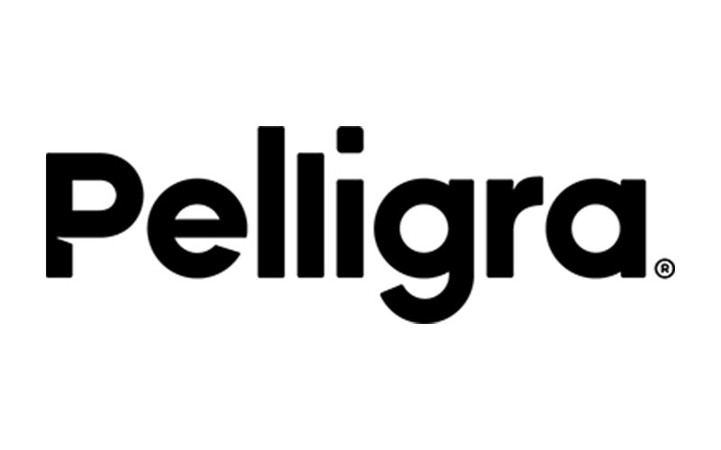 Web Sponsor Pelligra
